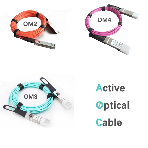 10 Gigabit switch Fiber optic or Ethernet port 
