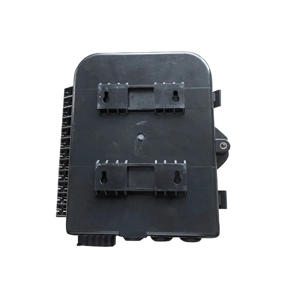 Does a picocell base station need an optical module