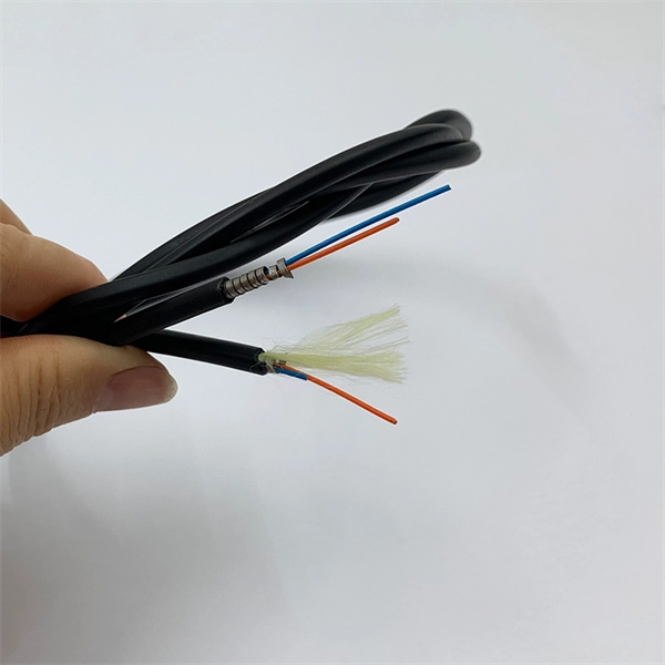 Customization Process for Low-Temperature Resistant FC Adapters for Carrier Backbone Networks