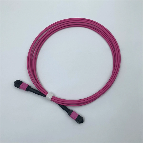 Ig optical module