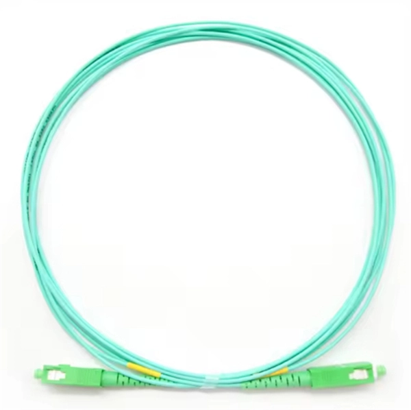 Can the neutral wire in a household electrical distribution box be shared