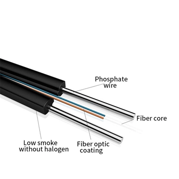 Where to install the SFP optical module