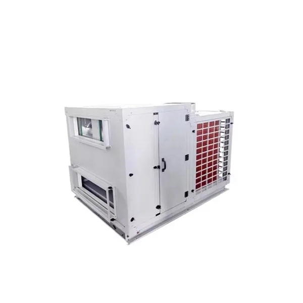 Czech-style wall-mounted explosion-proof distribution box