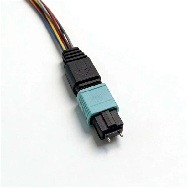 New Zealand Multimedia Distribution Box